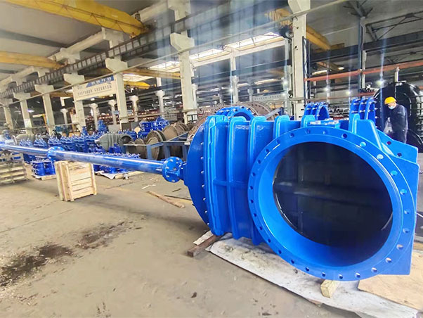 WEIZIDOM Industrial Valves: Comprehensive Solution for Tanzania’s KIGOMA Water Supply Project