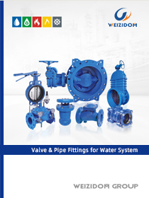 Valve & Pipe Fittings for Water System