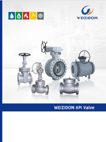 WEIZIDOM API Valve