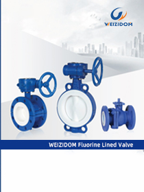 WEIZIDOM Fluorine Lined Valve