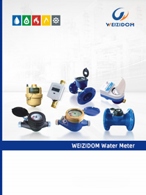 WEIZIDOM Water Meter