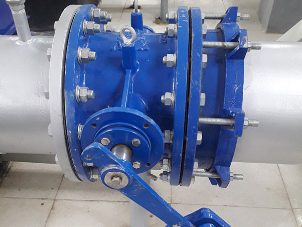 WEIZIDOM Industrial Valves: Trusted Solution for Saudi Arabia's King Salaman Garden NWC Project