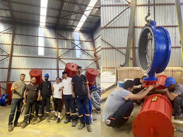 WEIZIDOM Pneumatic Butterfly Valves: Critical On-Off Solution for Turkey's OYAK Carbon Black Project