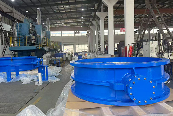 WEIZIDOM Large-Diameter Valves: Core Supply for Saudi Arabia’s NEOM Smart City Government Project