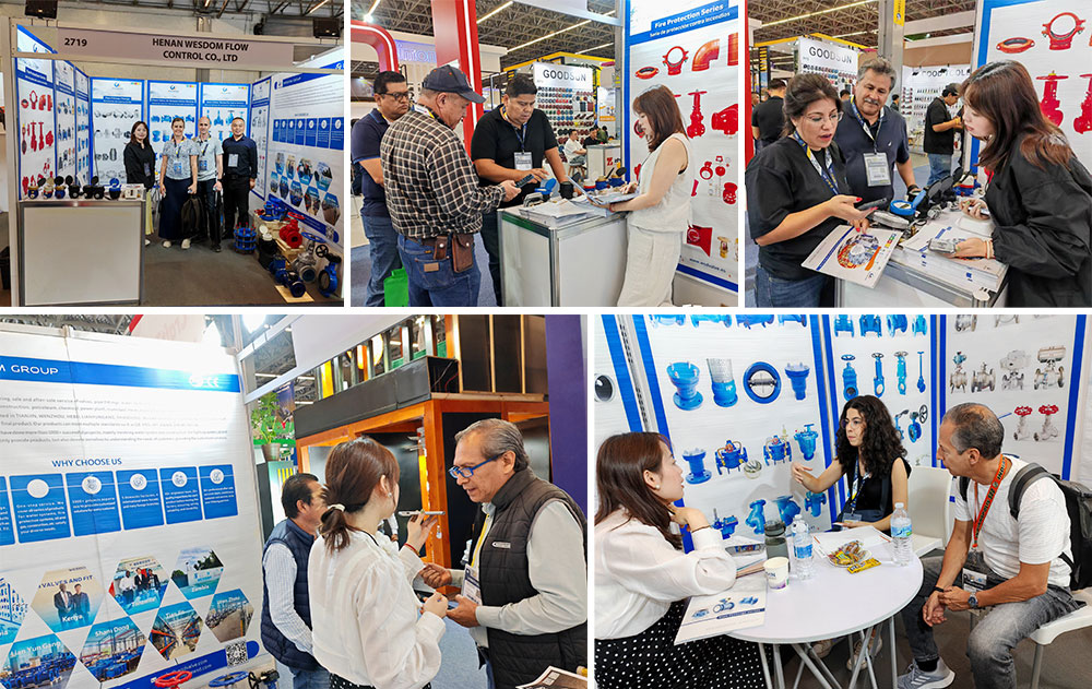 WEIZIDOMs-exhibition-in-Guadalajara-Mexico-concluded-successfully1.jpg