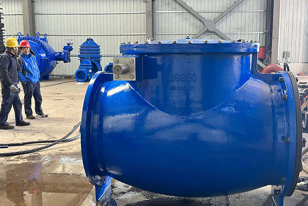 DN800 Heavy Hammer Check Valve for Large‑Scale Mining Water Supply Project in South Africa