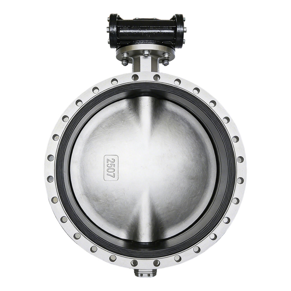DN700 Stainless Steel Butterfly Valve