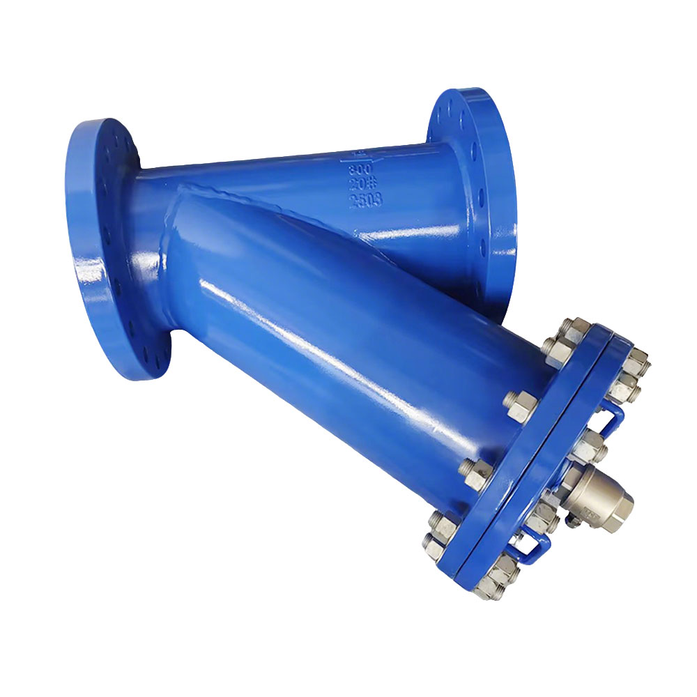 DN300 Y Type Strainer