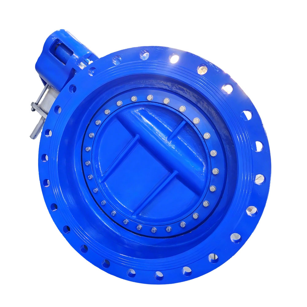 DN800 Slow Closing (Hammer) Check Valve