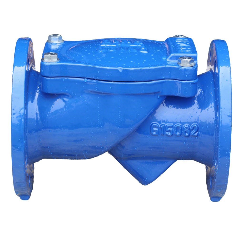 DN500 Rubber Disc Check Valve