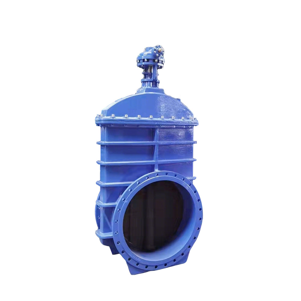 DN1000 Extension Stem Double Flange Soft Seal Gate Valve