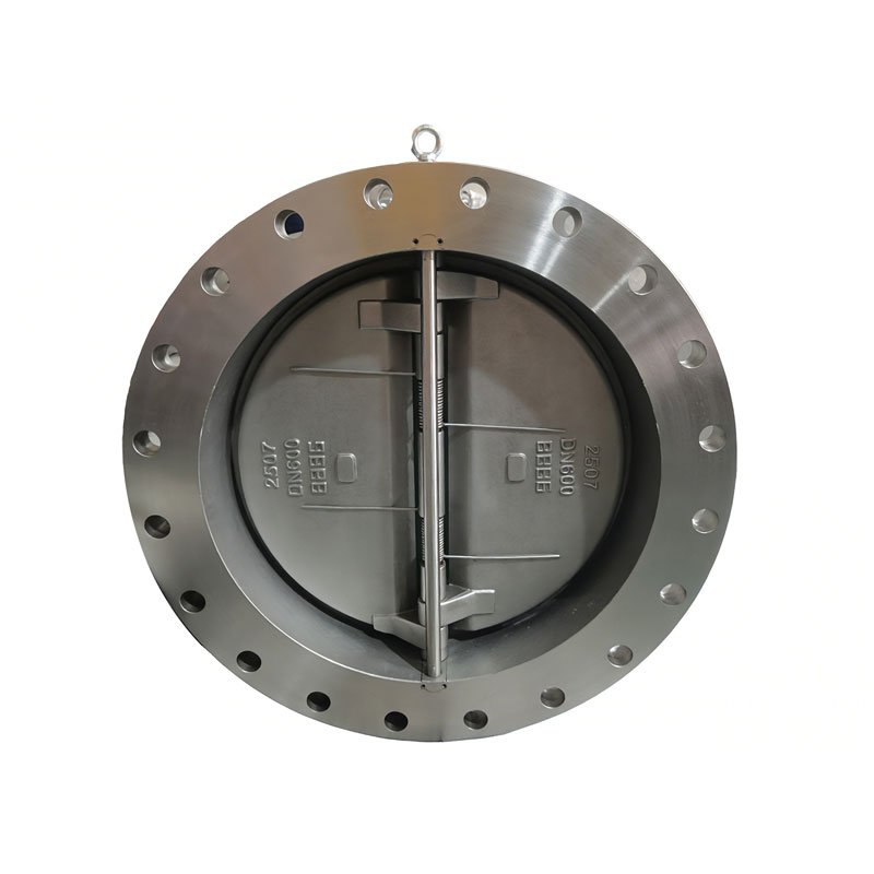 DN600 Stainless Steel Dual Plate Check Valve