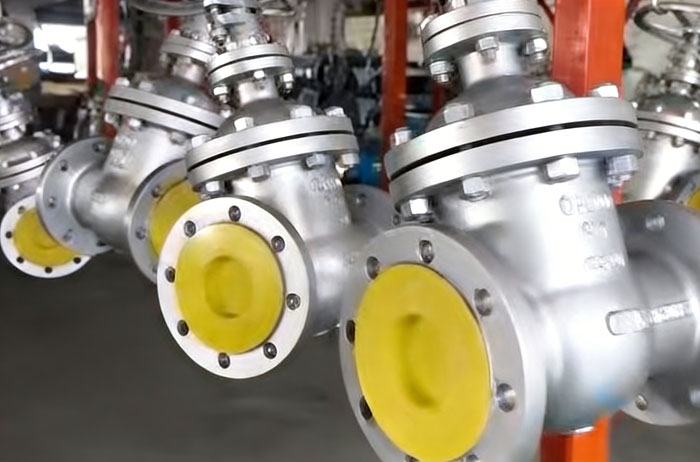 Stainless steel flange gate valve display